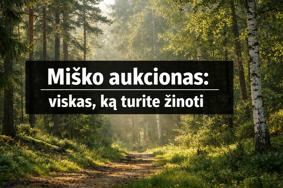 Miško aukcionas