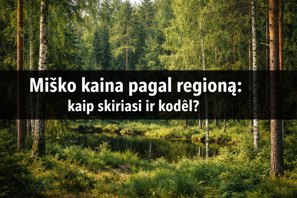 Miško kaina pagal regioną