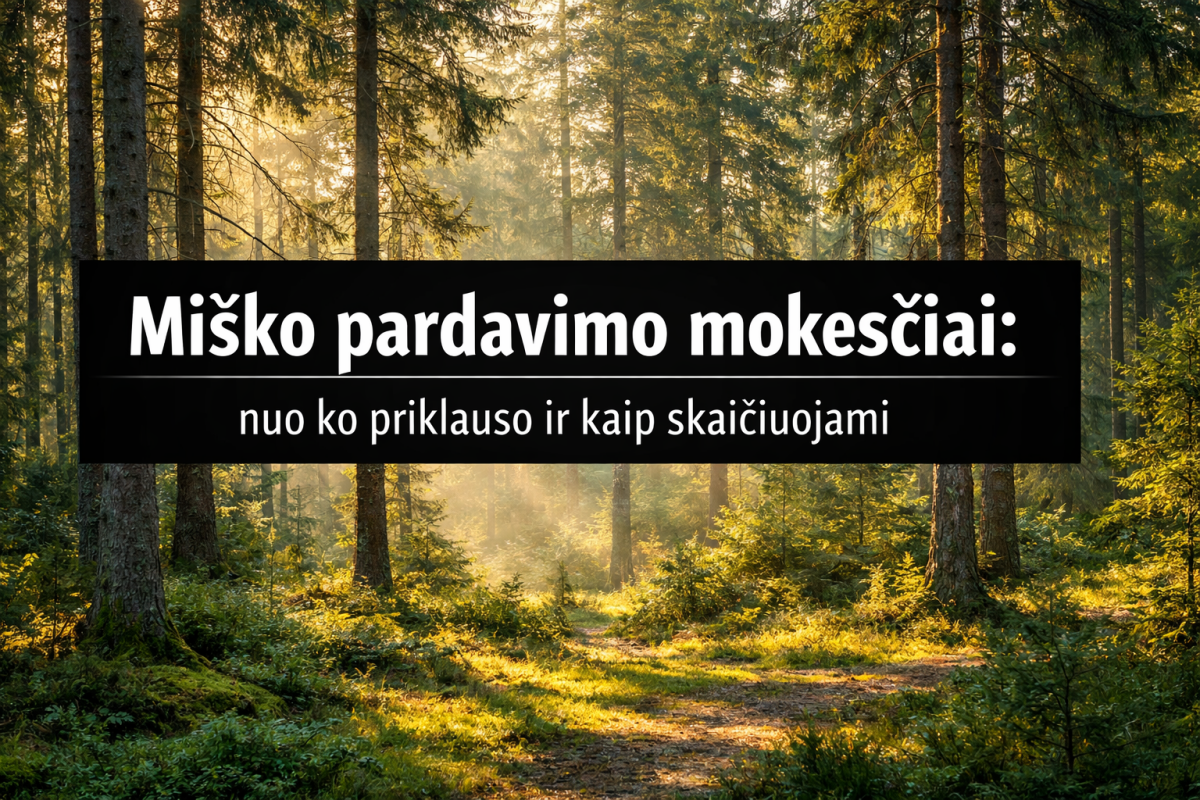 Miško pardavimo mokesčiai