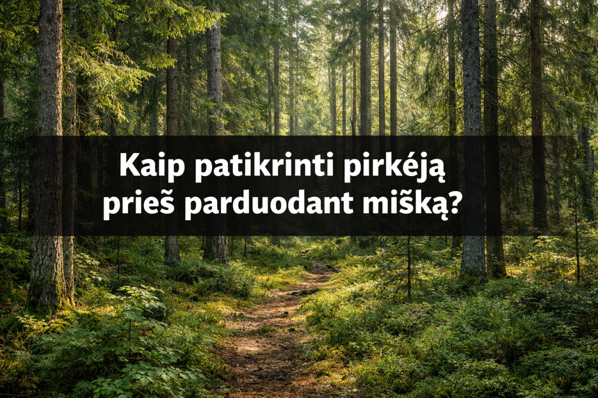 Miško pirkėjo patikrinimas