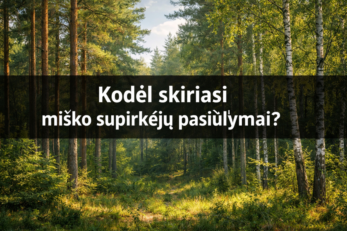 Miško supirkėjų pasiūlymai