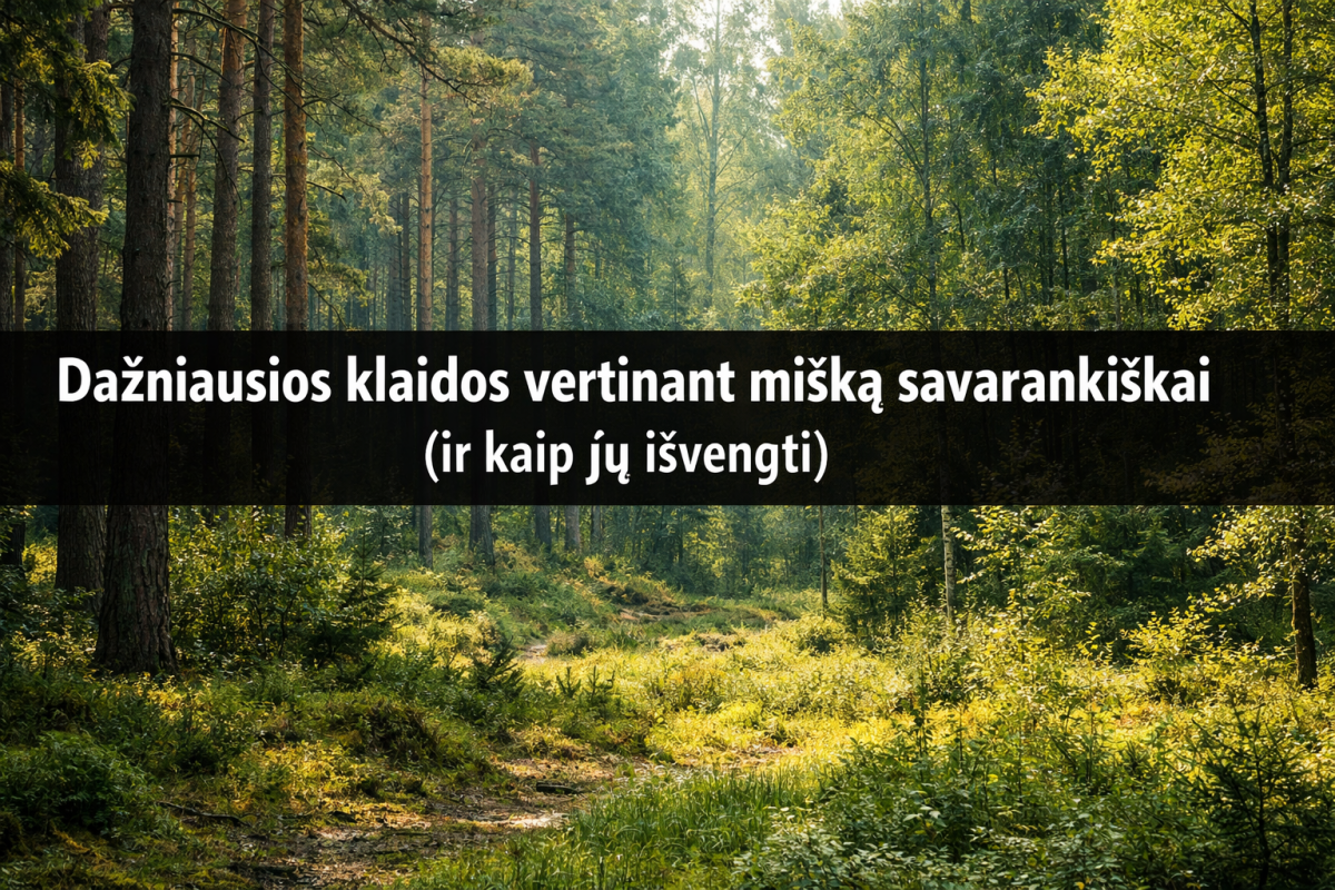 Miško vertinimas savarankiškai - klaidos