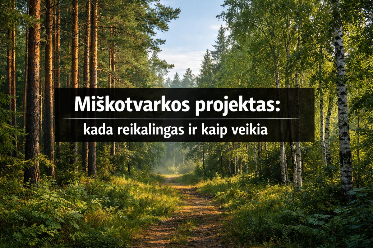 Miškotvarkos projektas
