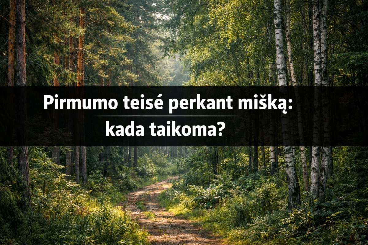 Pirmumo teisė perkant mišką