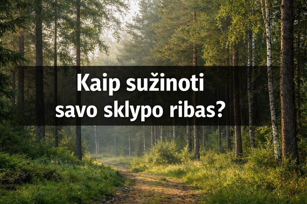 Kaip sužinoti savo sklypo ribas