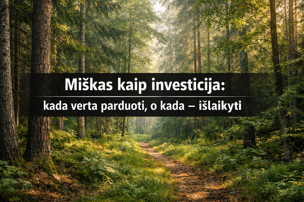 Miškas kaip investicija