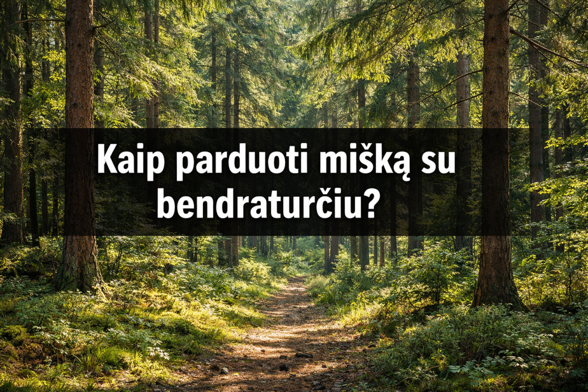 Miško su bendraturčiu pardavimas