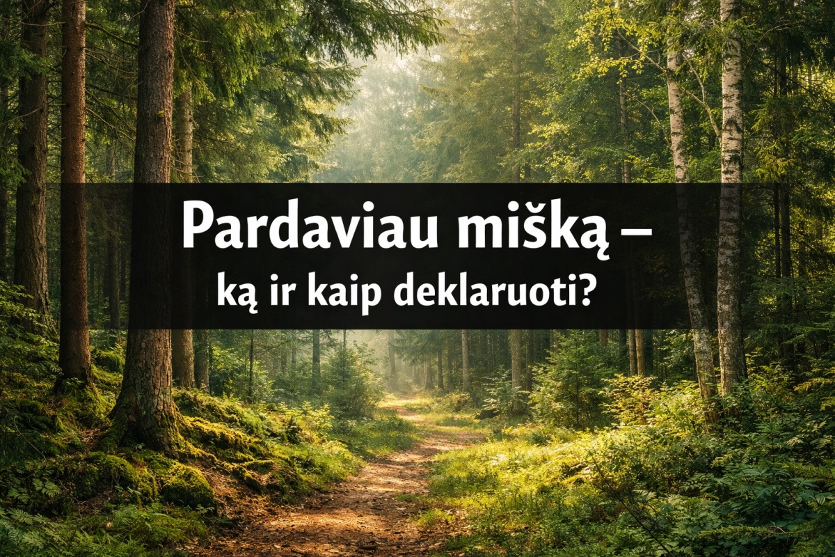 Parduoto miško deklaravimas